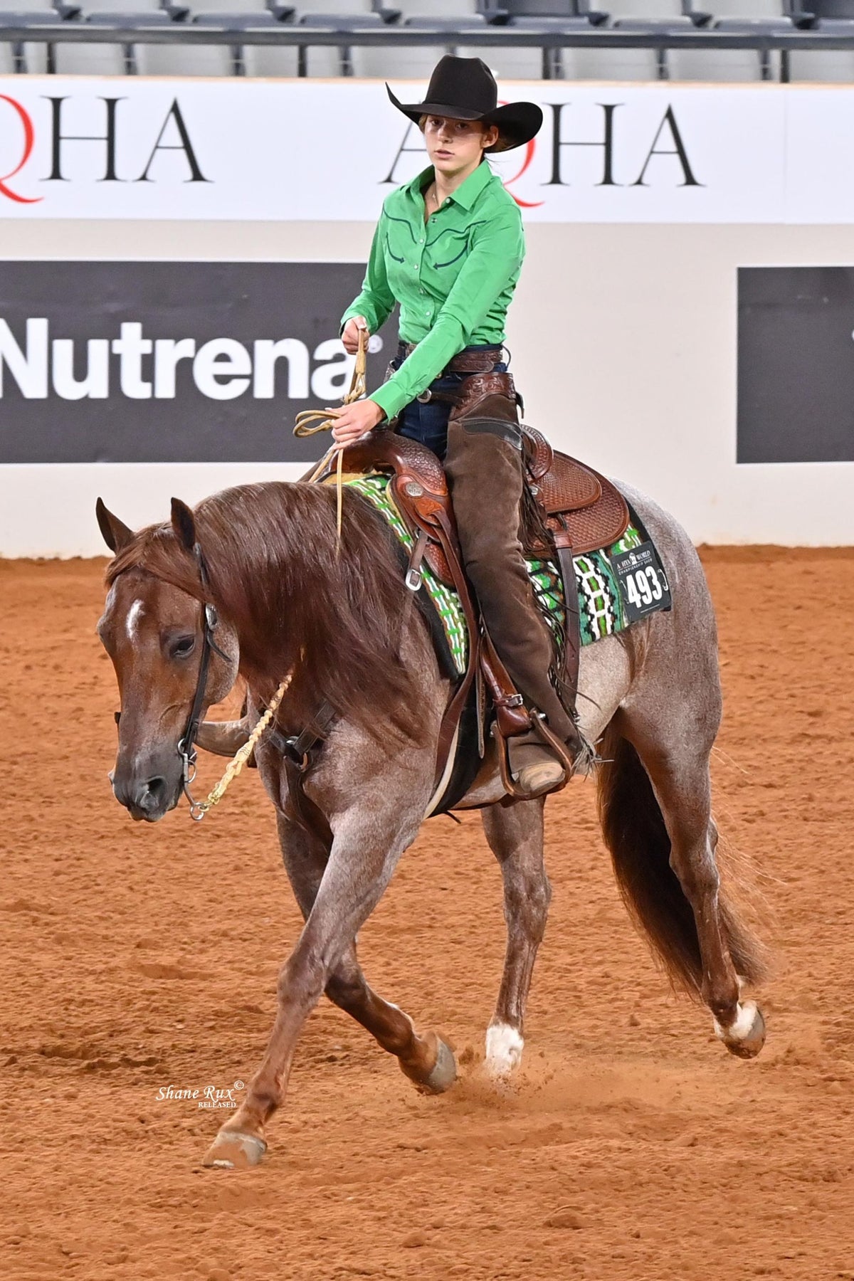 Kimes Ranch Logo Horn Blouse in Kelly Green, a long-sleeve western shirt with yoke stitching and a pointed collar; #color_kelly green